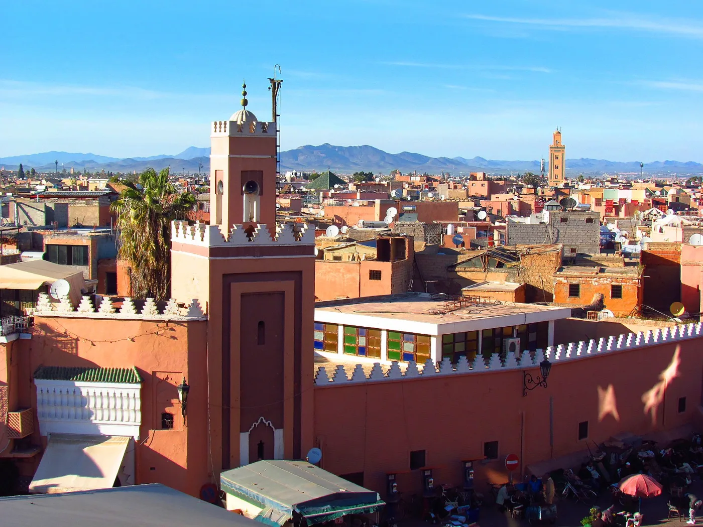Dératisation et désinsectisation à Marrakech - ouverture prochaine